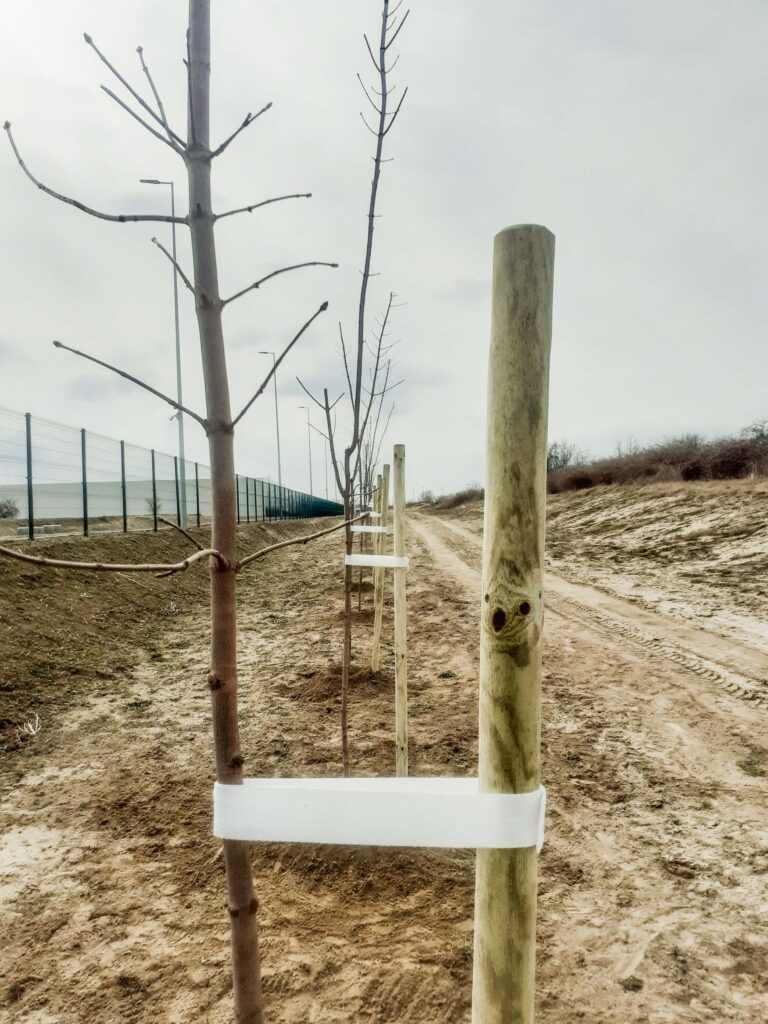 ultetes_4